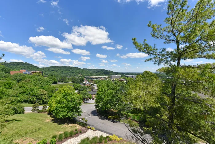 Views of Brentwood