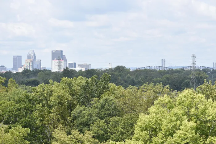 Apartments in Louisville