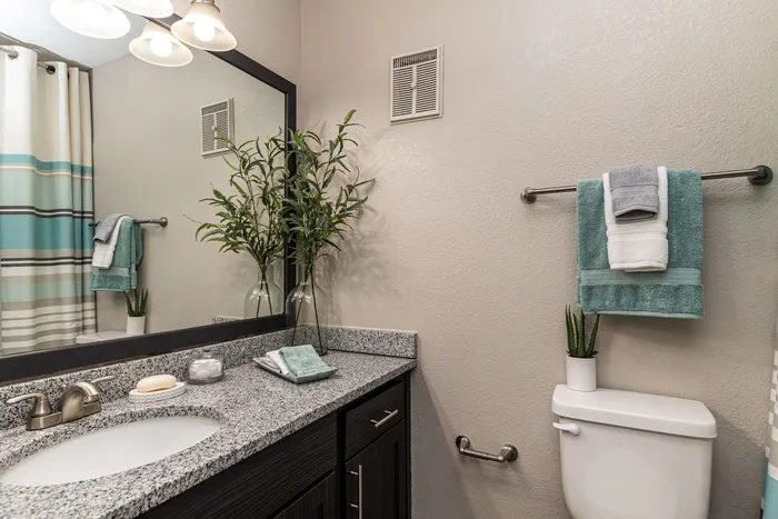 Apartments in Lexington