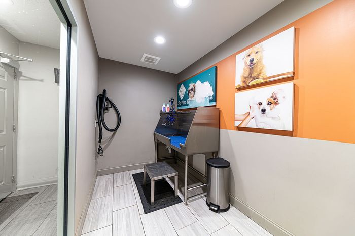 Apartments in Knoxville, Tennessee