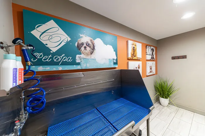 Apartments in Knoxville, Tennessee