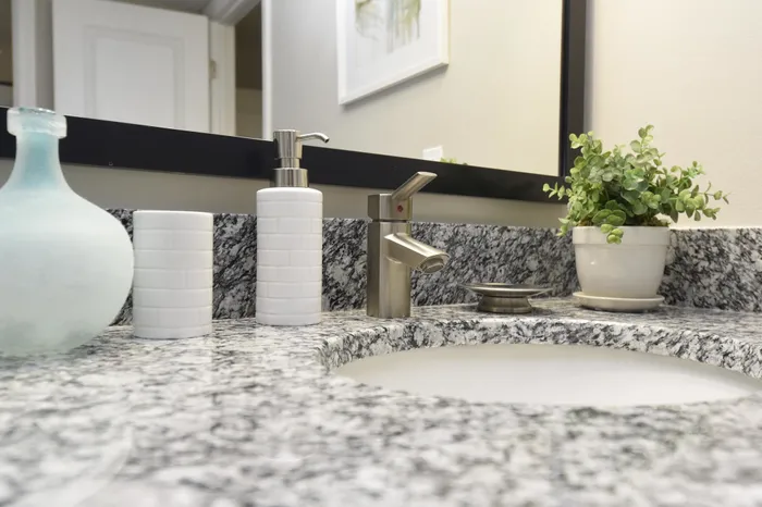 Modern bathroom vanity with granite countertop, sleek faucet, and decorative plant.