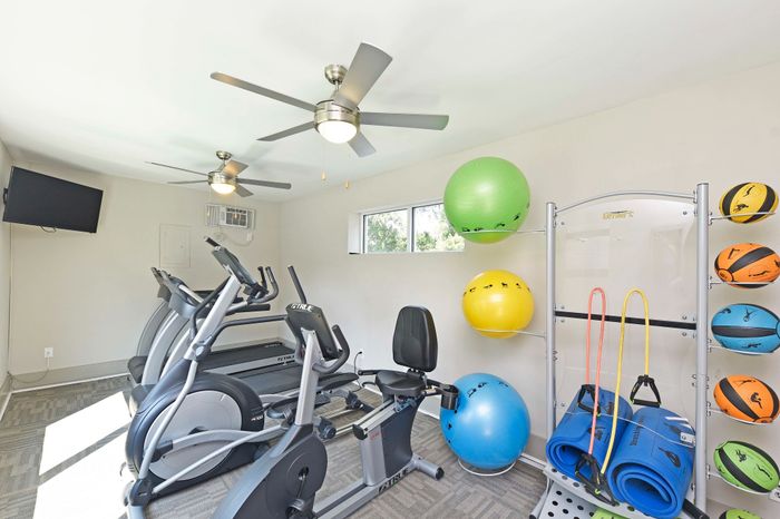 Bright fitness room with modern exercise equipment, treadmills, and vibrant exercise balls.