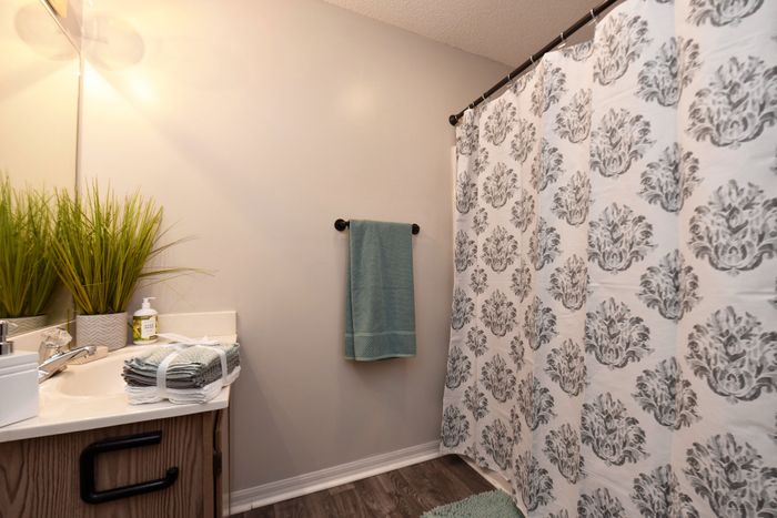 Cozy bathroom with a modern sink, decorative greenery, and a patterned shower curtain.