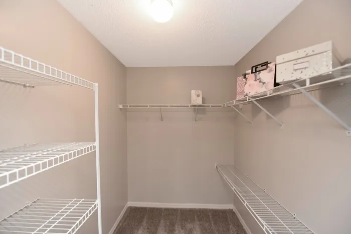 Roomy walk-in closet with ample shelving and neutral decor.