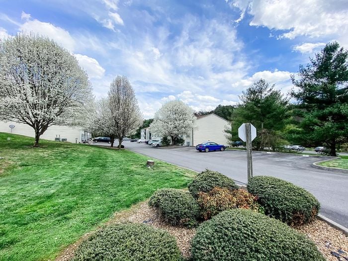Scenic view of an apartment complex surrounded by blooming trees and lush greenery on a sunny day.