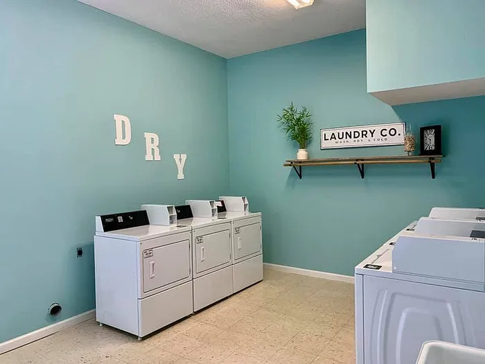 Bright and modern laundry room featuring multiple dryers with a stylish shelf and decor.