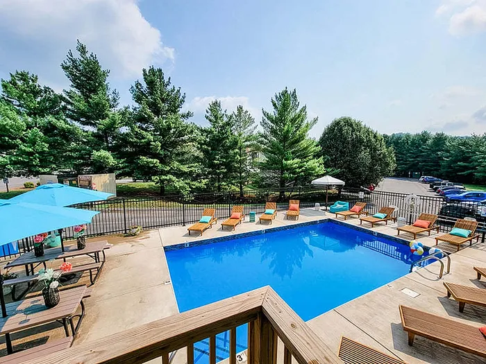 Inviting outdoor pool surrounded by comfortable loungers and vibrant umbrellas with lush trees in the background.