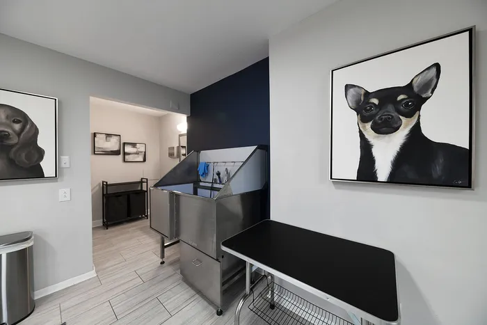 Modern pet grooming room with sleek tiled floors, a professional grooming tub, and stylish dog artwork.