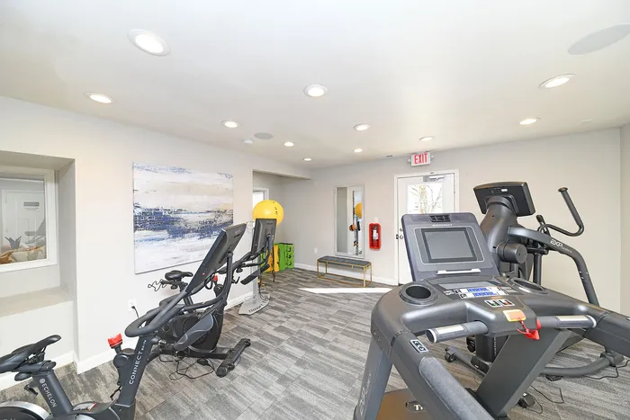 Bright, modern gym featuring cardio equipment and stylish decor in a spacious setting.
