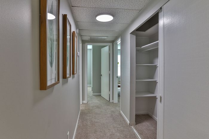 Apartments in Columbia, South Carolina