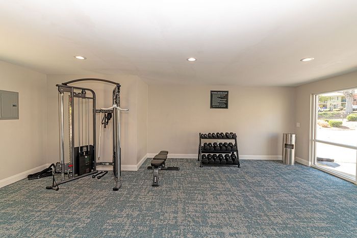 Bright and inviting apartment gym featuring modern exercise equipment and a rack of free weights, perfect for fitness enthusiasts.
