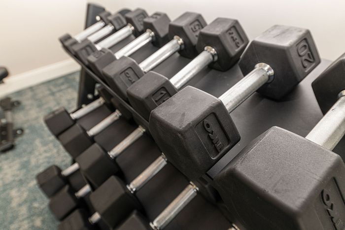 Modern gym area with neatly stacked dumbbells offering a seamless workout experience.