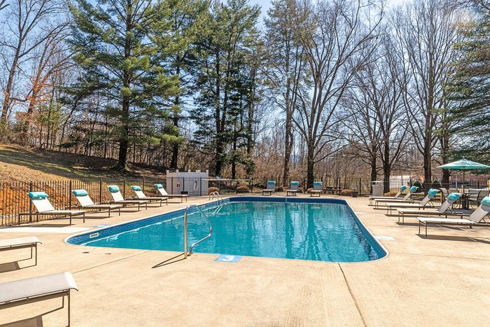 Inviting outdoor pool area with sun loungers, shaded by tall trees, perfect for relaxation and leisure.