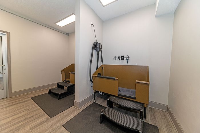 Modern pet grooming station with easy-access bathing tubs and sleek flooring, perfect for pet-friendly living.