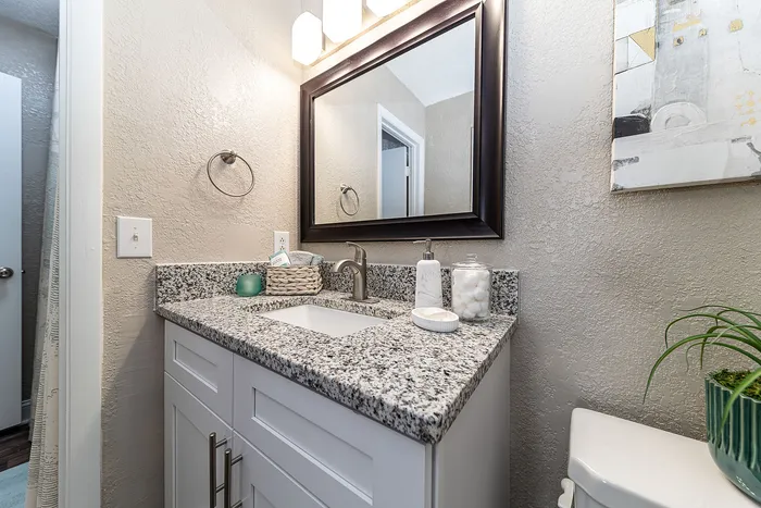 Elegant bathroom featuring a sleek granite countertop, modern vanity mirror, and stylish decor accents.