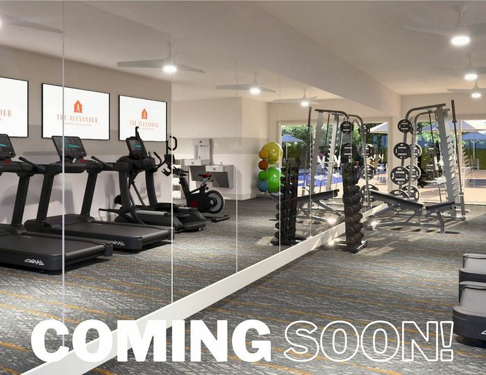 Modern fitness center with sleek treadmills, diverse weight machines, and vibrant exercise balls, perfect for an energetic workout experience. Coming soon!