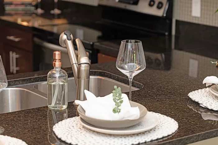 Elegant kitchen space with a glossy granite countertop, stylish sink fixtures, and chic place settings, perfect for modern living.