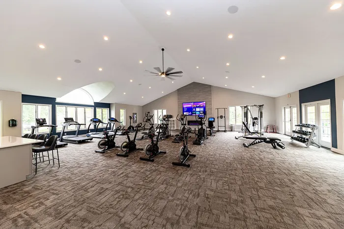 Spacious, modern gym equipped with treadmills, stationary bikes, and high-tech fitness equipment under elegant lighting.