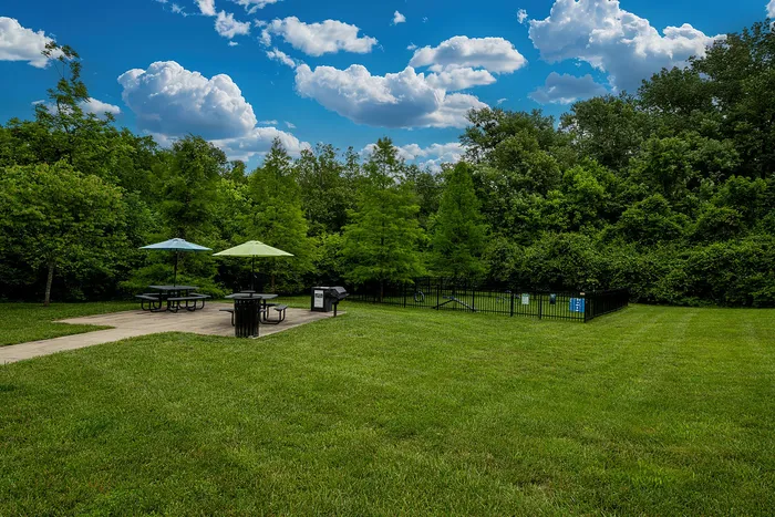 Charming outdoor area with lush green lawn, picnic tables under colorful umbrellas, and a scenic backdrop of trees and a bright blue sky.