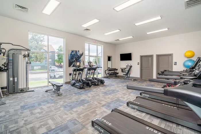 Bright and modern fitness center with state-of-the-art exercise equipment and large windows offering natural light.