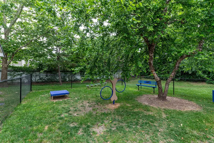 Inviting outdoor space with lush greenery, a fenced dog exercise area, and comfortable seating for relaxation.
