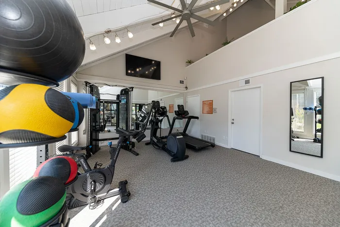 Bright and modern gym featuring cardio machines, vibrant workout equipment, and large windows for natural light.