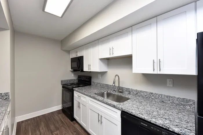 Modern kitchen with sleek granite countertops, elegant white cabinetry, and stainless steel appliances.