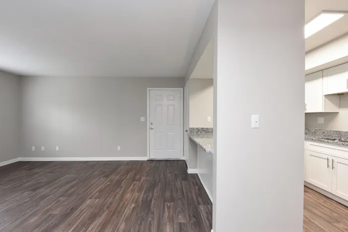 Bright and modern open-plan living area with sleek wood flooring and a stylish granite countertop kitchen.