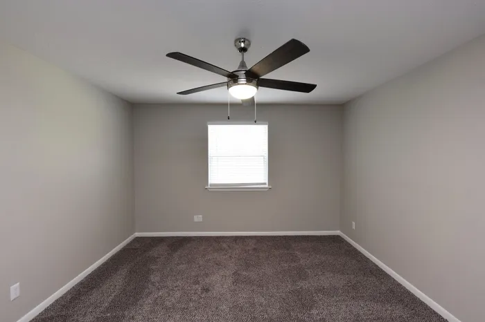 Spacious room with plush carpeting, elegant gray walls, and modern ceiling fan, perfect for creating a cozy atmosphere.