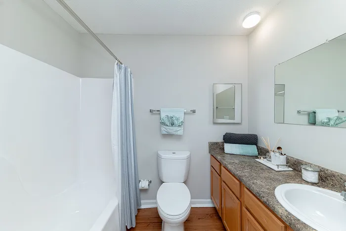 Bright and modern bathroom with a sleek countertop, cozy decor, and elegant bathtub for a relaxing retreat.