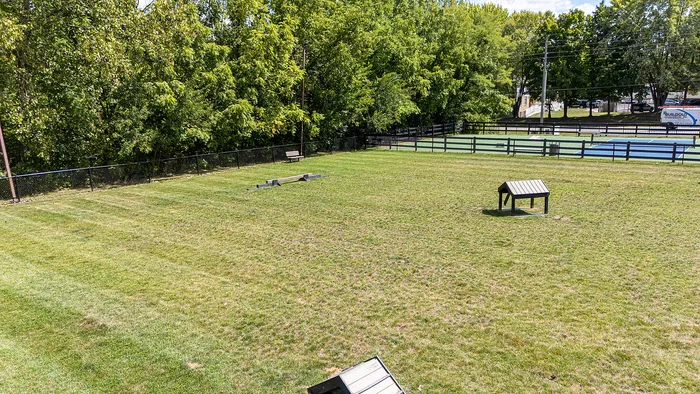 Expansive grassy dog park with agility equipment and surrounding trees, perfect for pet-friendly living.
