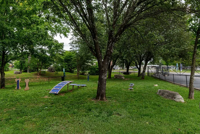 Charming outdoor area in a lush green park featuring playful dog-friendly equipment under large shade trees.