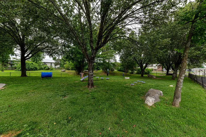 Lush green open space with mature trees and playful structures, perfect for outdoor activities in a serene community setting.