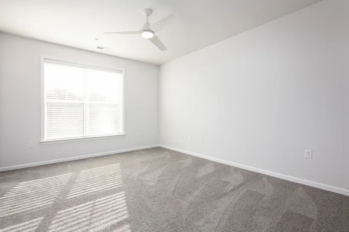 Bright and spacious bedroom with plush carpet and a ceiling fan, featuring abundant natural light from a large window.