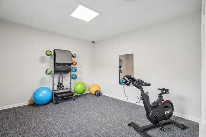 Modern home gym featuring exercise bike and vibrant fitness balls on sleek carpet flooring.