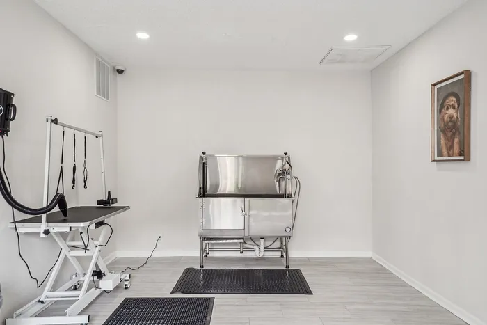 Bright, modern grooming room with professional equipment and charming pet portrait decor.
