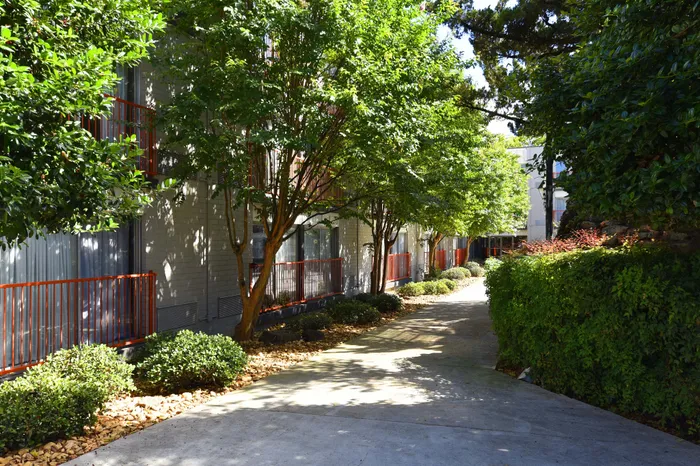 Charming apartment walkway lined with lush greenery, offering a tranquil and inviting path to your home.