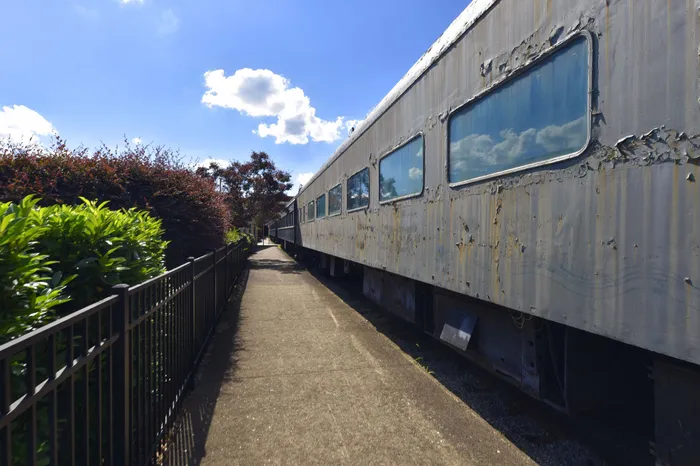 Historic train car surrounded by lush greenery and a vibrant blue sky, offering a unique and nostalgic experience.