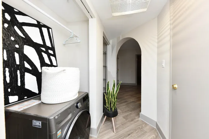 Chic laundry area with modern washer, abstract art, and vibrant snake plant in a bright hallway.
