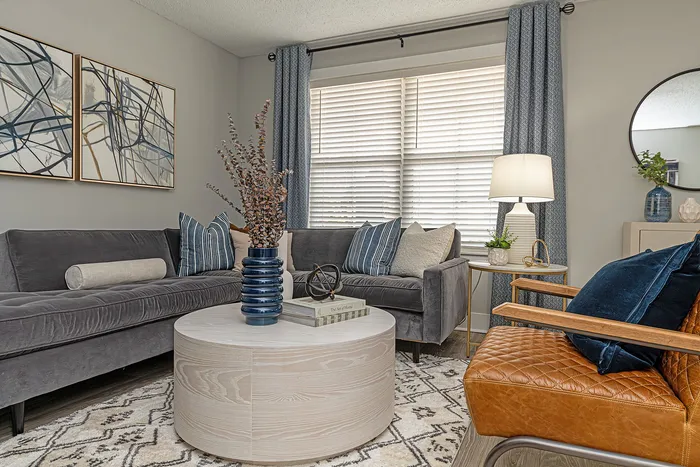 Chic and cozy living room with plush gray sofa, stylish art pieces, and elegant decor, offering modern comfort and inviting ambiance.