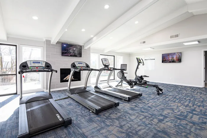Bright modern gym with quality treadmills and exercise bike, featuring a stylish fireplace and large windows providing natural light.