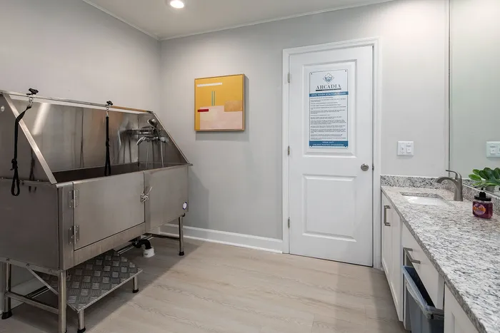 Contemporary dog wash station with sleek stainless steel tub and modern amenities, featuring granite countertops and stylish artwork for added charm.