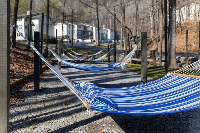 Tranquil outdoor area with blue striped hammocks, perfect for relaxation amidst a scenic tree-lined setting.