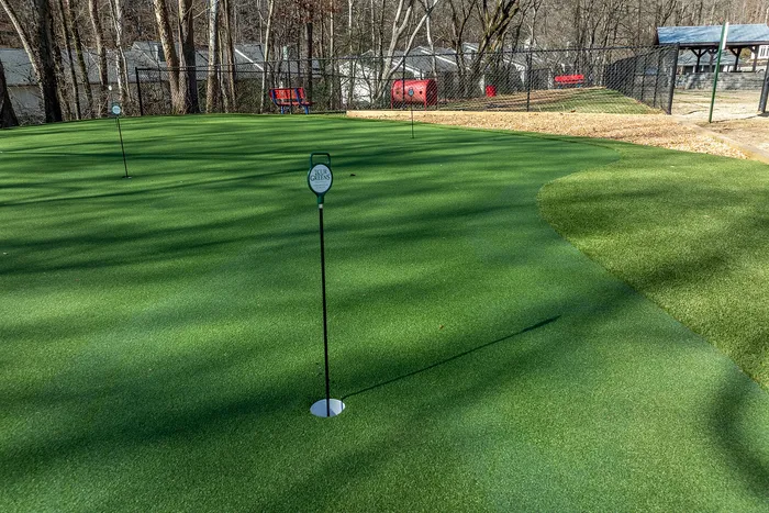 Inviting outdoor putting green area surrounded by lush trees, perfect for leisure and practice.