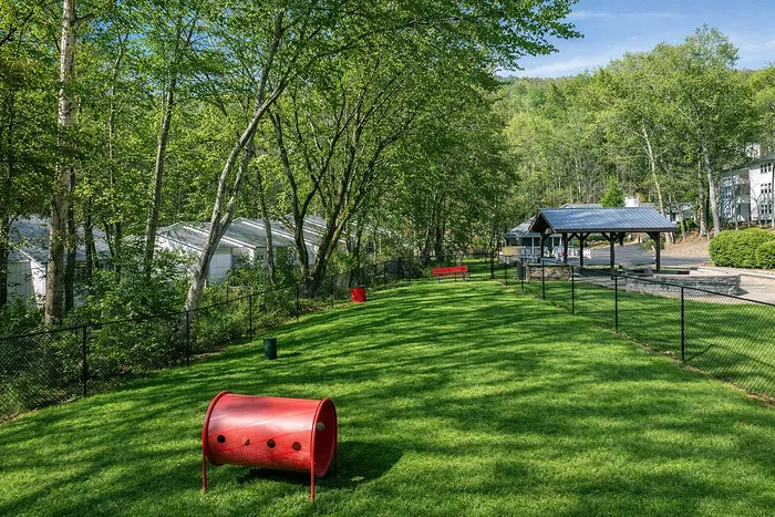 Lush green dog park surrounded by trees, complete with agility equipment and a cozy pavilion.