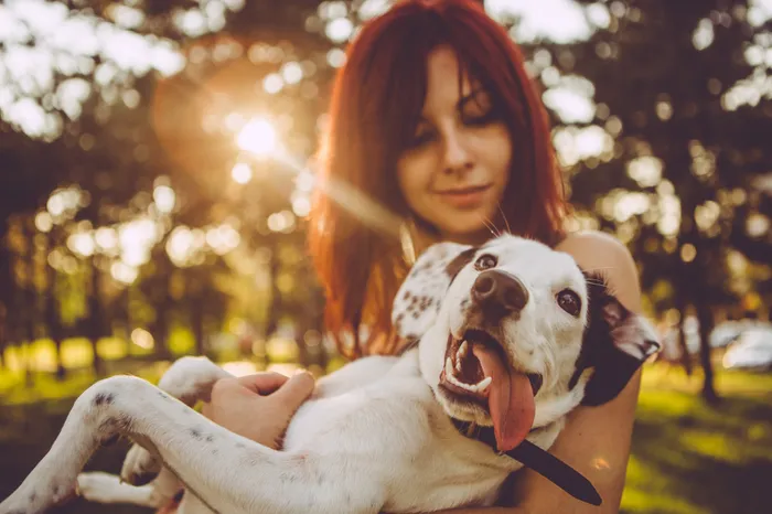 Radiant moment: Happy dog being held by a smiling person in a sunlit park, exuding joy and warmth.