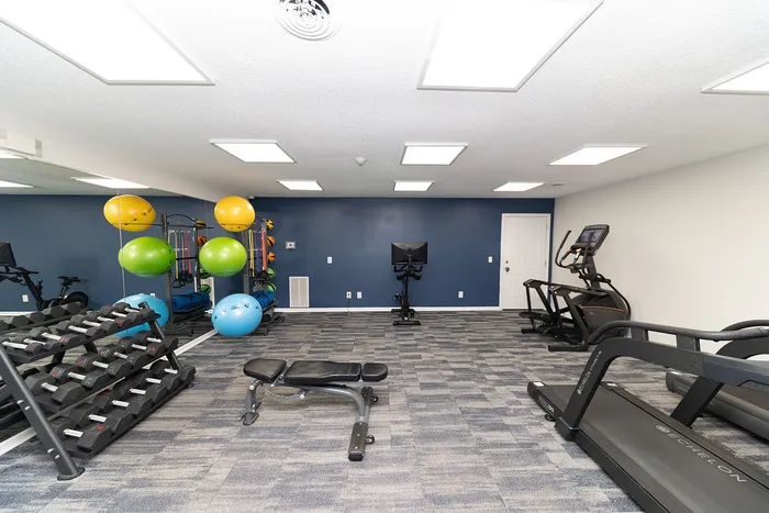 Modern fitness center with treadmills, free weights, and colorful exercise balls in a bright, spacious room.