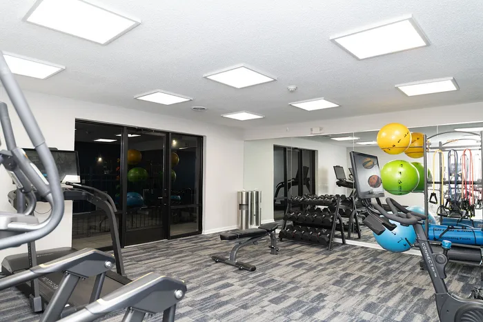 Modern fitness center featuring state-of-the-art cardio machines, free weights, and vibrant exercise balls, perfect for an energizing workout experience.
