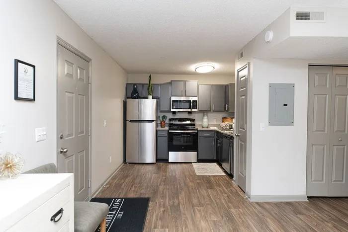 Modern kitchen with sleek gray cabinets, stainless steel appliances, and stylish wood flooring.
